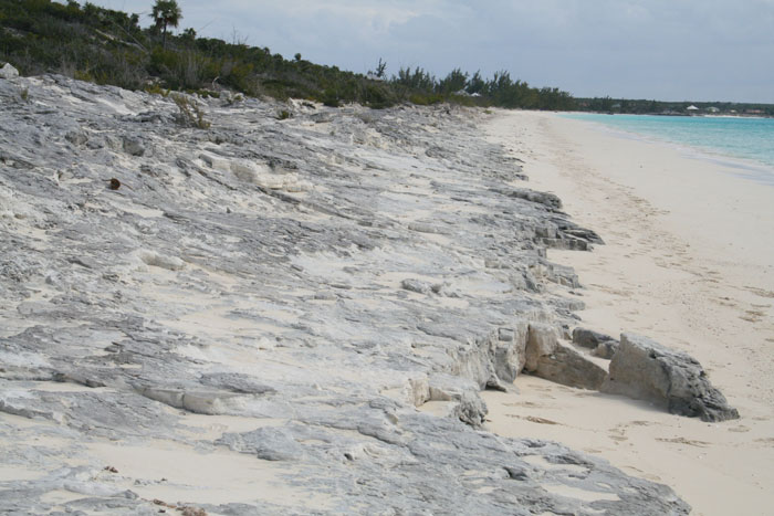 GatorPt backshore beds_06_3